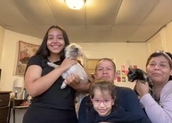 Help This Family Following Kearny Homicide, Investigation Continues For Man Fatally Hit In North Bergen And More In This Hudson County News Roundup