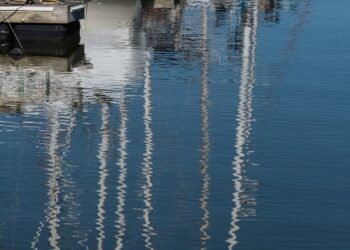 New Jersey Parks Are Not ‘Revenue Centers’: Local Environmental Groups Fire Back On Liberty State Park’s 60-Year Marina Lease
