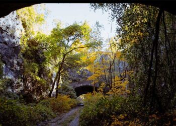 There’s Green Space In Jersey City, You Just Have To Look Down: Learn About The Future Of The Bergen Arches