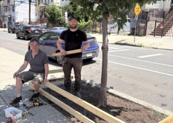 Jersey City Strengthens Tree Protections Even With The Rise In Development, Meet The Group Behind It