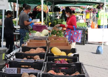 Start Your Small Business At This Workshop, Visit All These Local Farmers Markets And More In This Hudson County News Roundup