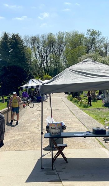 1st Pic MOTHER EARTH FESTIVAL