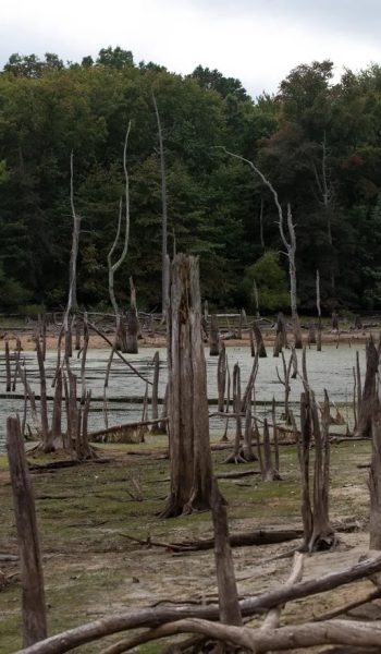 Doug Hood/Asbury Park Press