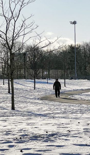 Hudson County Winter