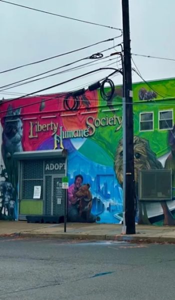 Jersey City Animal Shelter