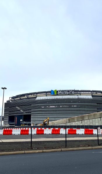 NEIDY GUTIERREZ METLIFE