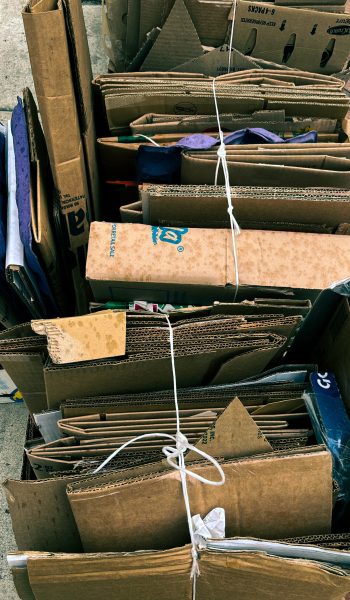 Recycling Photo_Chelsea