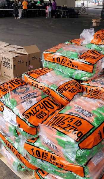 HUNGER FREE UIC HUDSON COUNTY