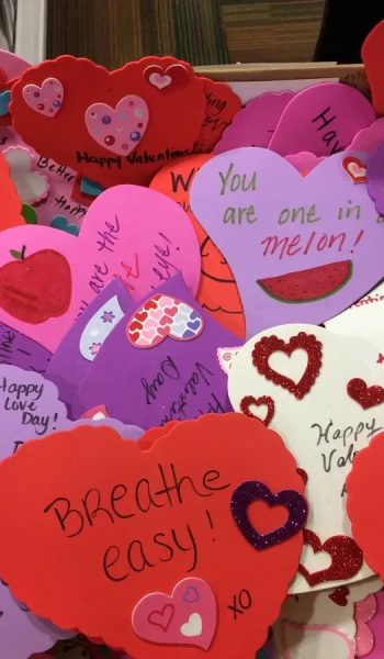 img_6072-1550181589-9094